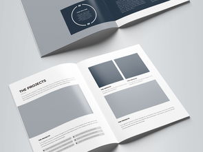 简约大气蓝色科技公司软件开发宣传册模板图片设计素材