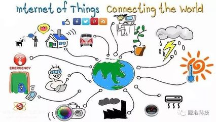 物联网赋能生态保护 以科技之智，筑生态之暖